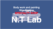 N.T LAB